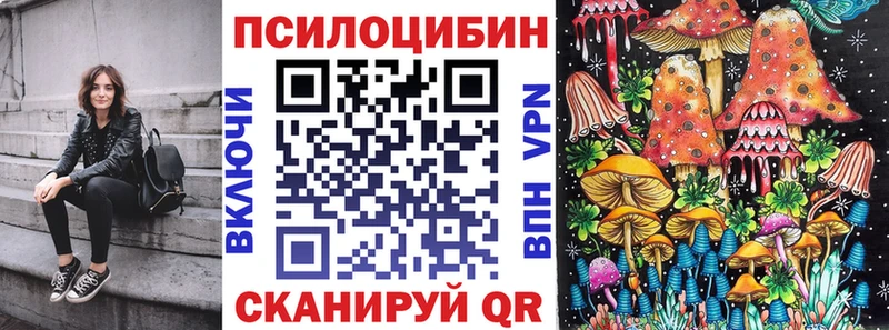 Галлюциногенные грибы Psilocybine cubensis  Купить закладки  Козловка 